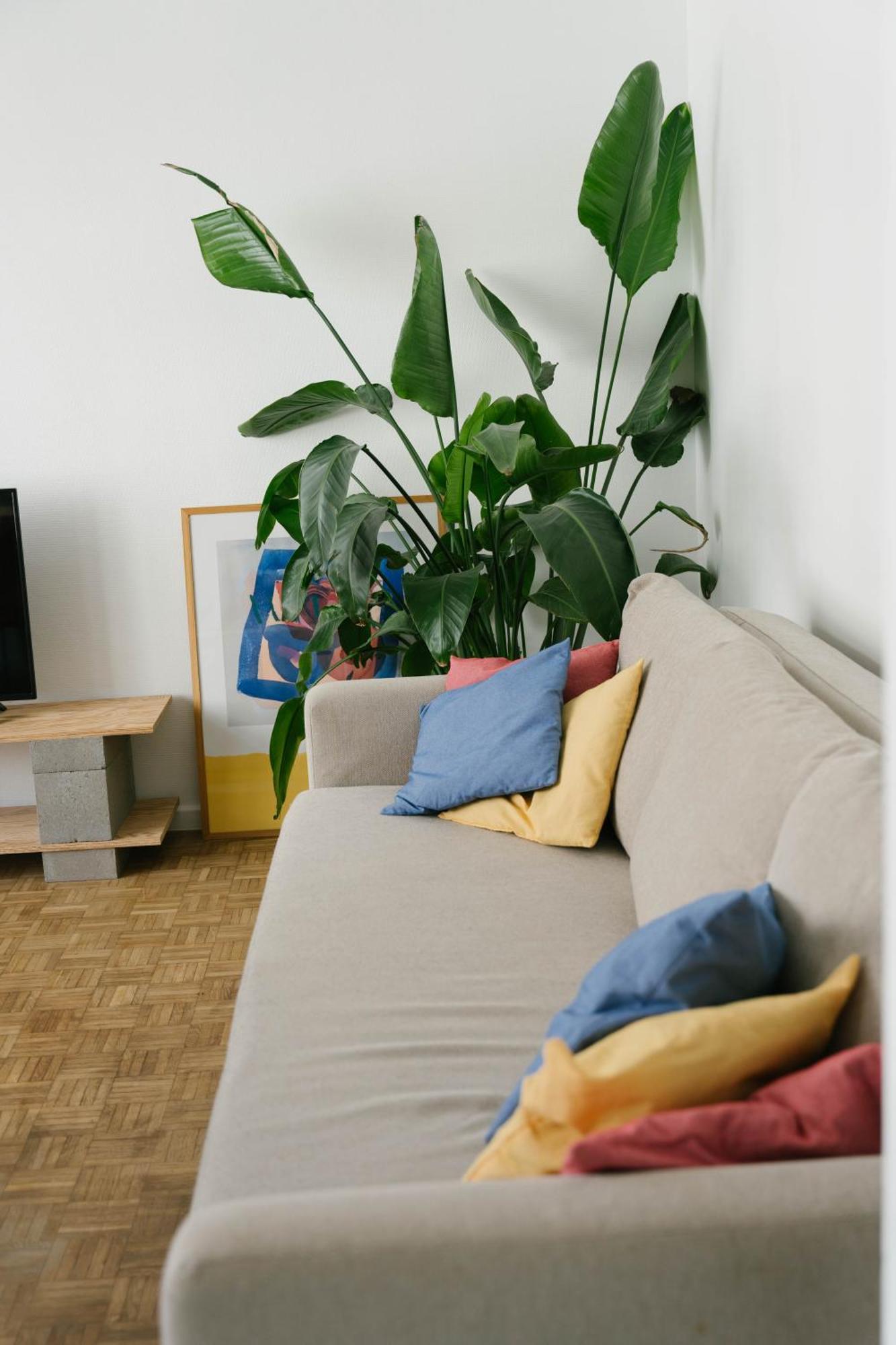 Centrally Located Apartment Close To The Beach Ostend Exterior photo